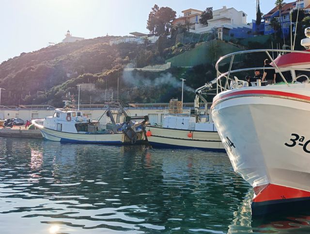 La Comunidad convoca las ayudas por valor de 1,3 millones para paliar pérdidas en el sector pesquero por las paralizaciones temporales - 1, Foto 1