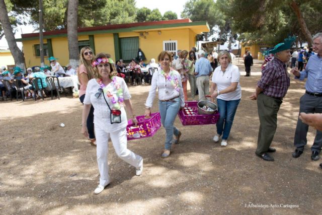 700 mayores despiden el curso con una convivencia caribeña en Los Urrutias - 2, Foto 2