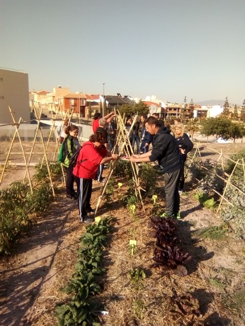 Personas desempleadas de Alhama se forman sobre almacenaje y jardinera, Foto 2