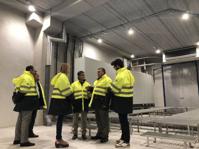 La Regin de Murcia produce tres de cada diez toneladas de verdura congelada de España, Foto 2