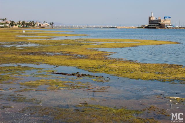 MC: Ante la dejadez estatal y regional, MC apoya la reivindicación de los vecinos de Estrella de Mar por un baño limpio - 3, Foto 3