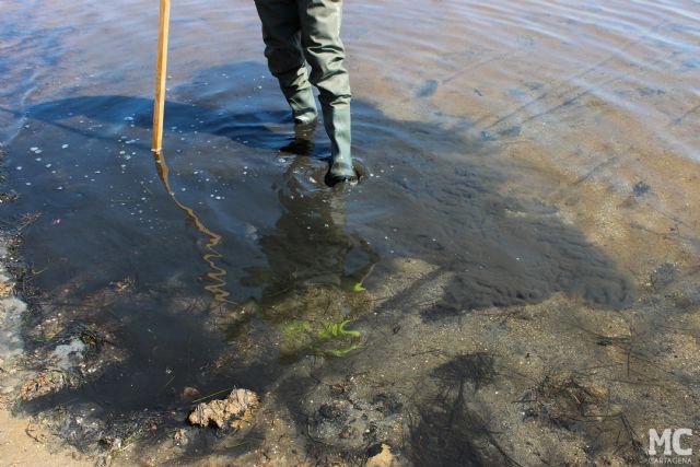 MC: Ante la dejadez estatal y regional, MC apoya la reivindicación de los vecinos de Estrella de Mar por un baño limpio - 4, Foto 4