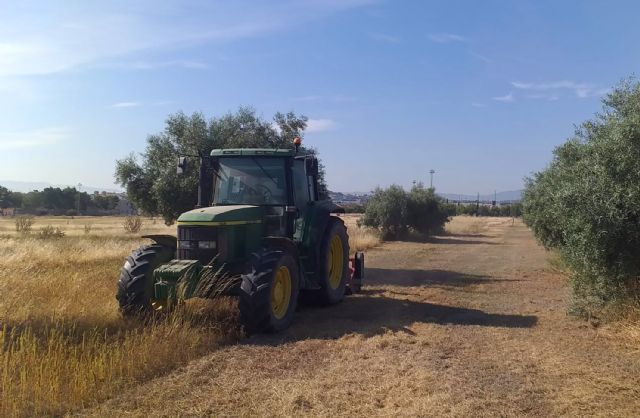 Comienza la limpieza de los 65.000 m2 del parque de la Emisora para evitar incendios - 3, Foto 3