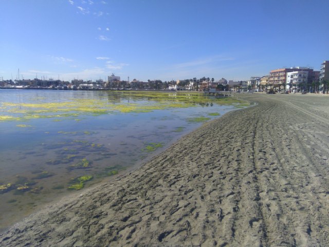 Conceden los Premios Atila Región Murciana 2020 - 1, Foto 1