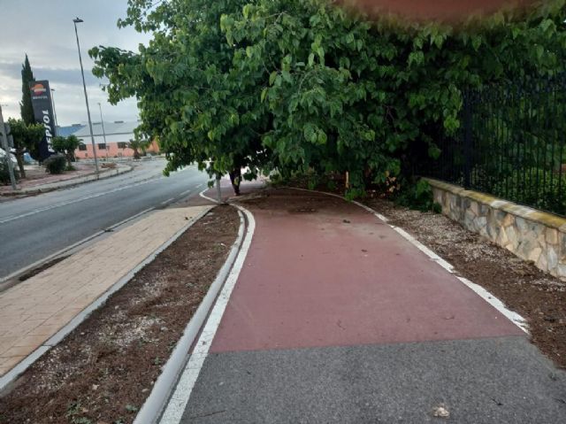 El PP denuncia que el abandono del mantenimiento del municipio provoca inseguridad en caminos, ramblas vertedero y plagas de insectos - 1, Foto 1
