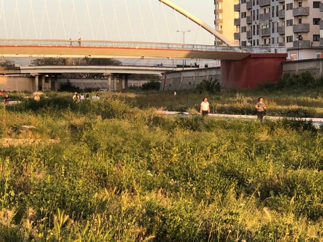 El PP denuncia que el abandono del mantenimiento del municipio provoca inseguridad en caminos, ramblas vertedero y plagas de insectos - 3, Foto 3