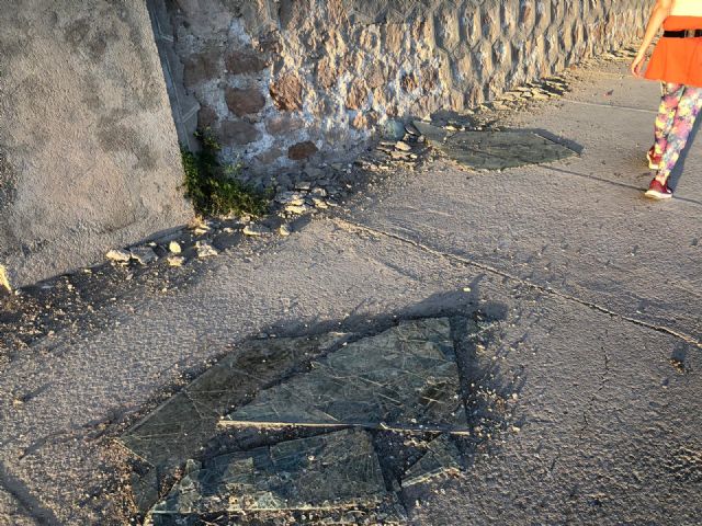 El PP denuncia que el abandono del mantenimiento del municipio provoca inseguridad en caminos, ramblas vertedero y plagas de insectos - 4, Foto 4