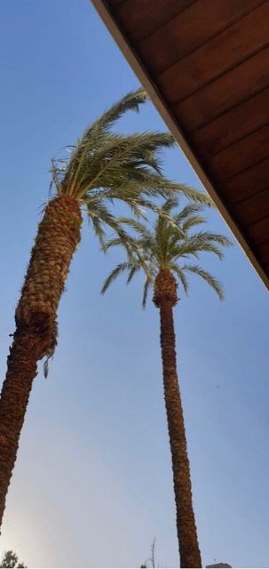 MC Cartagena recibe al matrimonio al que Esperanza Nieto (PP) faltó al respeto en el Pleno municipal por su edad - 2, Foto 2