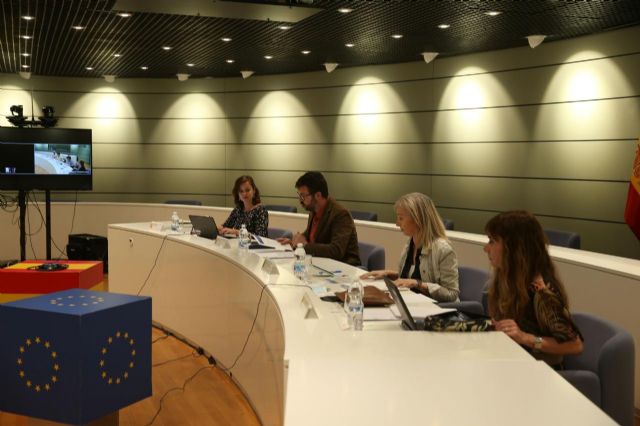 Trabajo, Igualdad y agentes sociales abordan el desarrollo de los reglamentos de planes de igualdad y de igualdad retributiva - 1, Foto 1