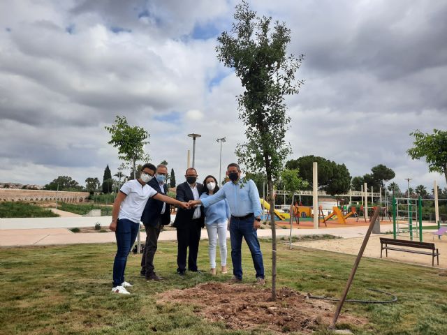 Alcantarilla se suma a la campaña Un árbol por Europa con la plantación de una encina en el Parque del Acueducto - 3, Foto 3