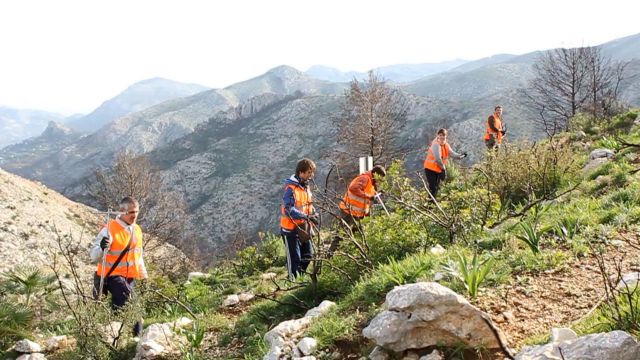 AQUAE presenta dos nuevas plantaciones y lanza una campaña para compensar CO2 por cada escucha de su podcast de naturaleza - 1, Foto 1