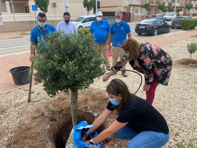 San Pedro del Pinatar y Aidemar se suman a la campaña europea 'Un Árbol Por Europa' - 1, Foto 1