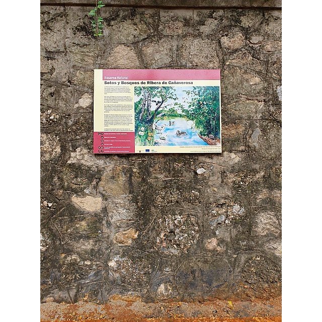 Inaugurada la restauración del Malecón Fluvial del Santuario de Ntra. Sra. de la Esperanza - 3, Foto 3