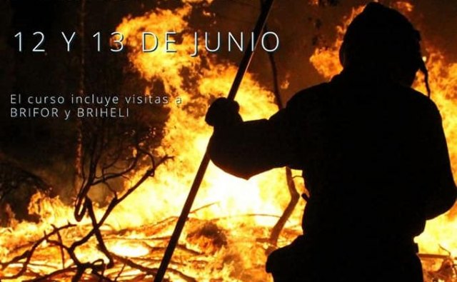 Alive organiza un curso de auxiliar especialista en incendios forestales - 1, Foto 1