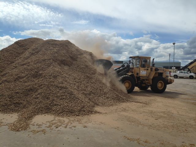 La bioeconomía forestal, pilar fundamental para la gestión sostenible del territorio - 1, Foto 1