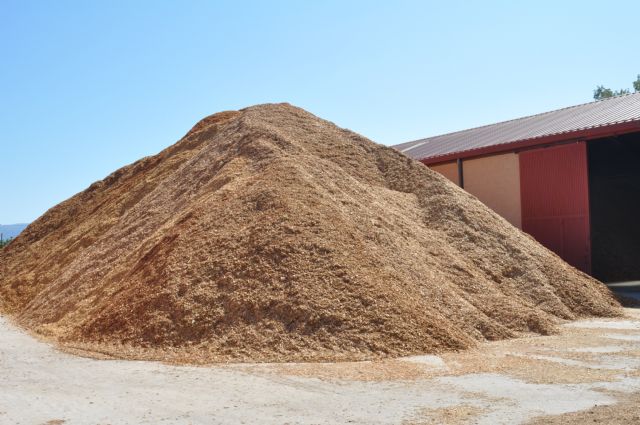 La bioeconomía forestal, pilar fundamental para la gestión sostenible del territorio - 2, Foto 2