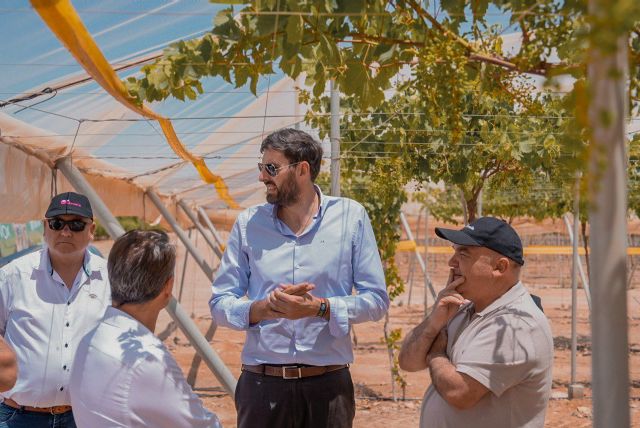 Antelo: “Exigimos prohibir la llegada de productos de terceros países como Marruecos que no cumplen ninguna normativa” - 2, Foto 2