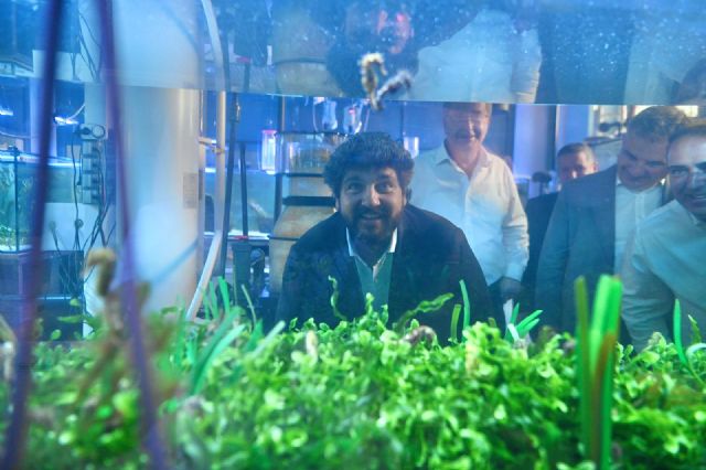 López Miras: El PP pondrá la ciencia al servicio de la protección y recuperación del Mar Menor - 1, Foto 1