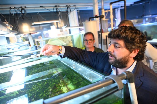 López Miras: El PP pondrá la ciencia al servicio de la protección y recuperación del Mar Menor - 2, Foto 2