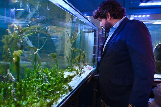 López Miras: El PP pondrá la ciencia al servicio de la protección y recuperación del Mar Menor - 4, Foto 4