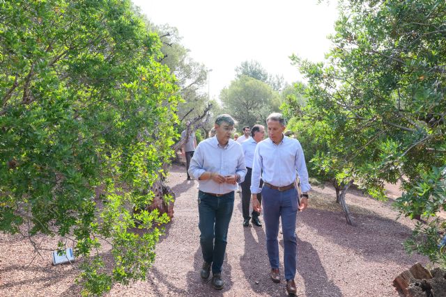 El alcalde de Lorca recorre el Parque de Los Cipreses días antes de la conmemoración de las Jornadas Europeas de la Arqueología - 5, Foto 5