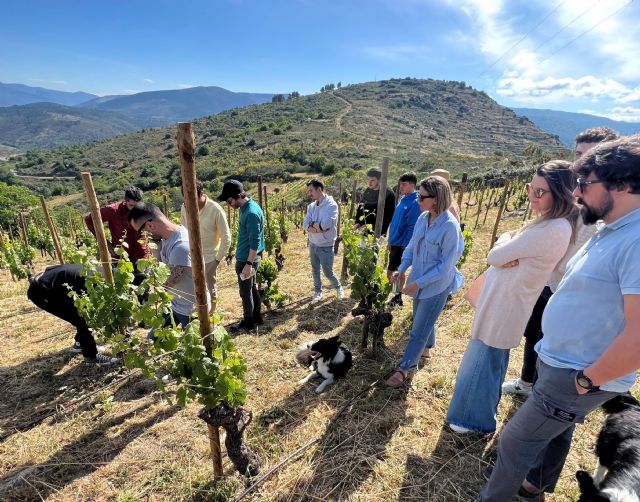 Rafael Palacios abre las puertas de su bodega y ofrece una experiencia única en Valdeorras - 1, Foto 1