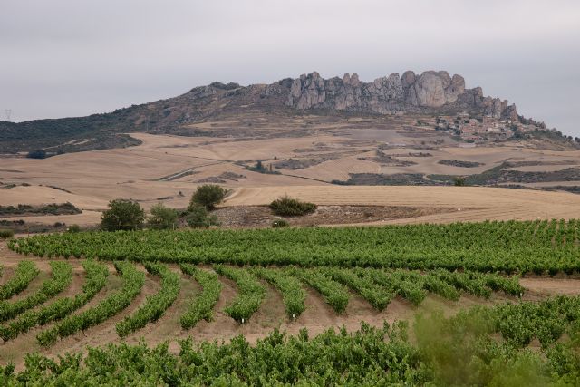 Bodegas RODA comparte su experiencia sobre el sistema keyline en viñedo - 1, Foto 1
