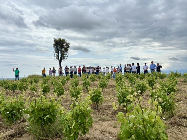 Bodegas RODA comparte su experiencia sobre el sistema keyline en viñedo - 2, Foto 2
