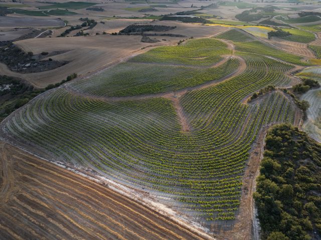 Bodegas RODA comparte su experiencia sobre el sistema keyline en viñedo - 3, Foto 3