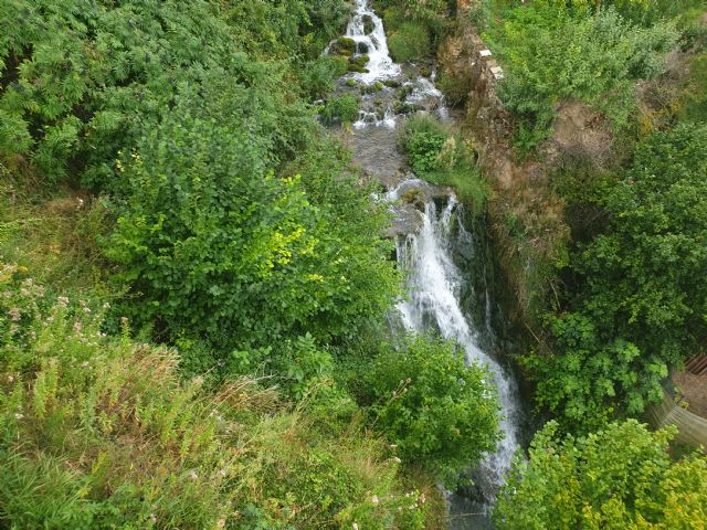 Ingeniería forestal: clave en la defensa del medio ambiente y la lucha contra el cambio climático - 1, Foto 1