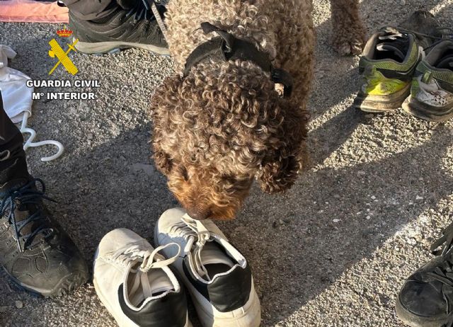 La Guardia Civil esclarece el homicidio de un vecino de Fortuna - 4, Foto 4