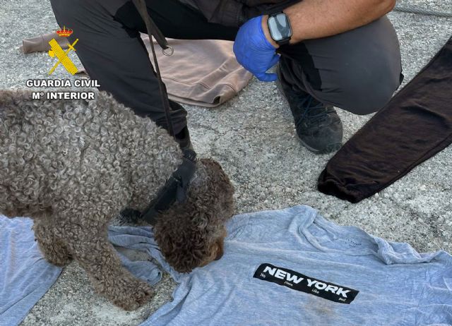 La Guardia Civil esclarece el homicidio de un vecino de Fortuna - 5, Foto 5