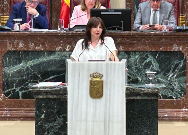 El PSOE afirma que la consejera de Salud 's�lo ha venido a la Asamblea Regional a mentir e intentar tapar el esc�ndalo de las pr�tesis caducadas'