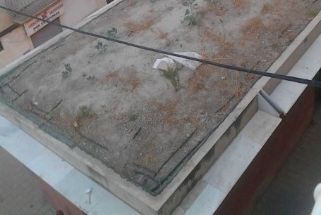 El PSOE reclama al PP actuaciones para mejorar la Plaza de Abastos de las Hortalizas y reactivar el comercio tradicional del Barrio de San Cristóbal - 3, Foto 3