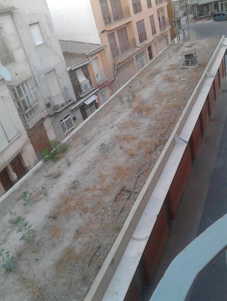 El PSOE reclama al PP actuaciones para mejorar la Plaza de Abastos de las Hortalizas y reactivar el comercio tradicional del Barrio de San Cristóbal - 4, Foto 4