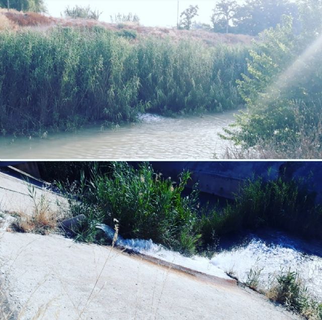 La CHS abre los primeros pozos de la Batería Estratégica del Sondeos en la Vega Media y Baja - 1, Foto 1