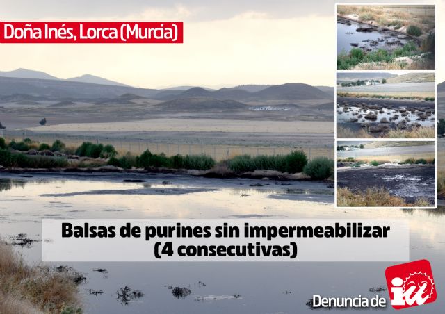 IU-Verdes muestra la otra cara de la ganadería intensiva en las Tierras Altas de Lorca - 2, Foto 2