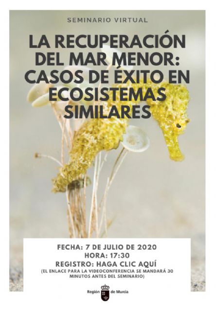 La Comunidad organiza un seminario ´online´ sobre la recuperación del Mar Menor, con la presencia de expertos internacionales - 1, Foto 1