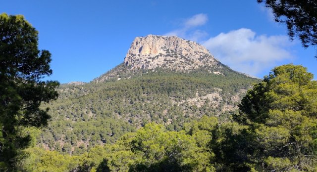 Analizan el papel de los destinos turísticos inteligentes en la reactivación de los viajes, Foto 1