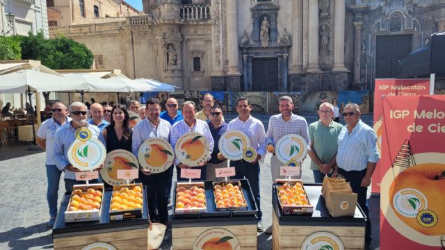 El Melocotón de Cieza se comercializa por vez primera bajo el sello de calidad Indicación Geográfica Protegida (IGP) - 1, Foto 1