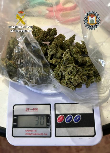 Desmantelados 11 invernaderos indoor con más de mil plantas de cannabis - 1, Foto 1