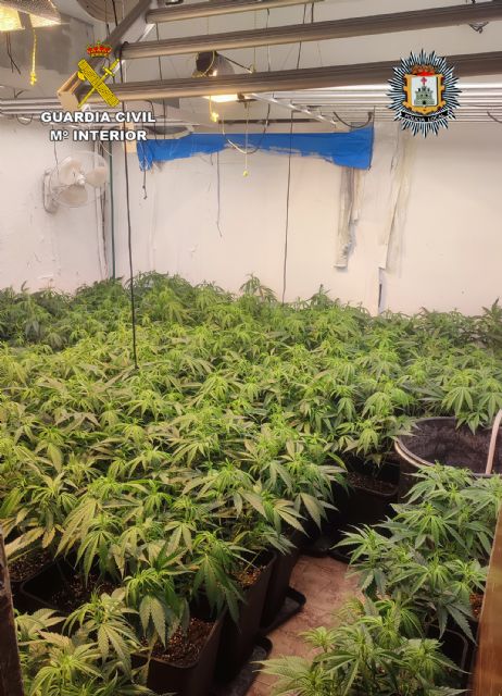 Desmantelados 11 invernaderos indoor con más de mil plantas de cannabis - 2, Foto 2