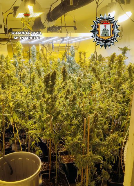 Desmantelados 11 invernaderos indoor con más de mil plantas de cannabis - 3, Foto 3