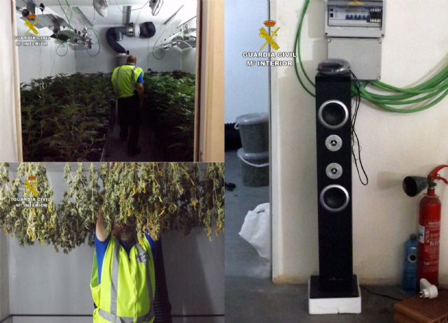La Guardia Civil desmantela un invernadero clandestino de marihuana en una nave del polígono industrial Oeste de Alcantarilla - 3, Foto 3