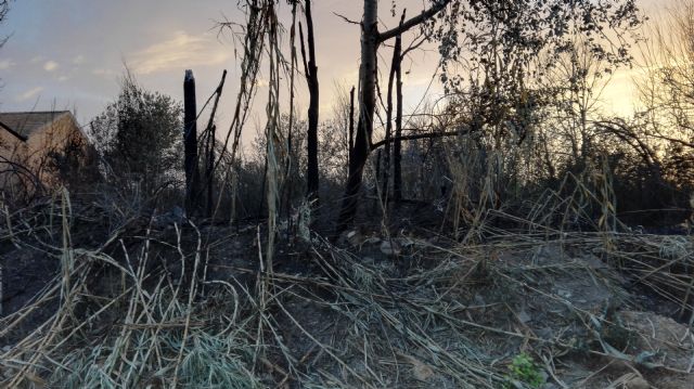 Cambiemos Murcia pide la recuperación ambiental del Azarbón de Puebla de Soto, arrasado por un incendio - 1, Foto 1