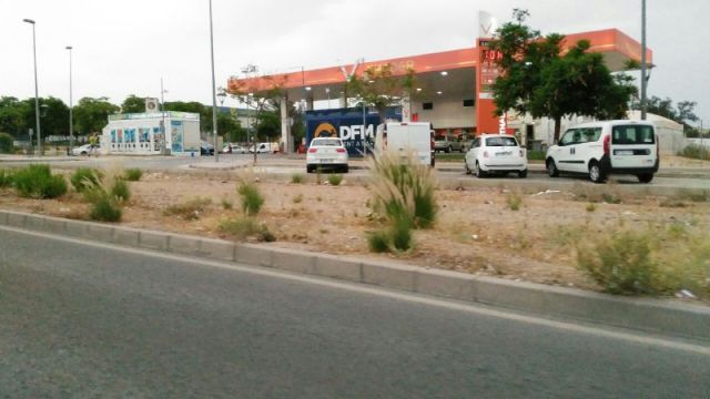 Ahora Murcia denuncia que las especies invasoras están tomando el municipio ante la inacción del pp - 1, Foto 1