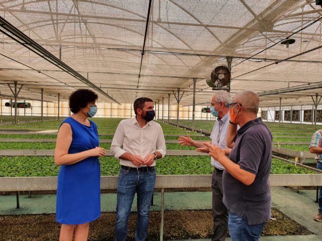 La Comunidad se reafirmó en 2019 como la sexta provincia más exportadora en el sector de la flor cortada - 1, Foto 1
