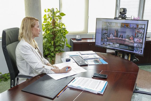 La Región de Murcia explica a las comunidades su experiencia con la puesta en marcha de la aplicación Sansonet - 1, Foto 1