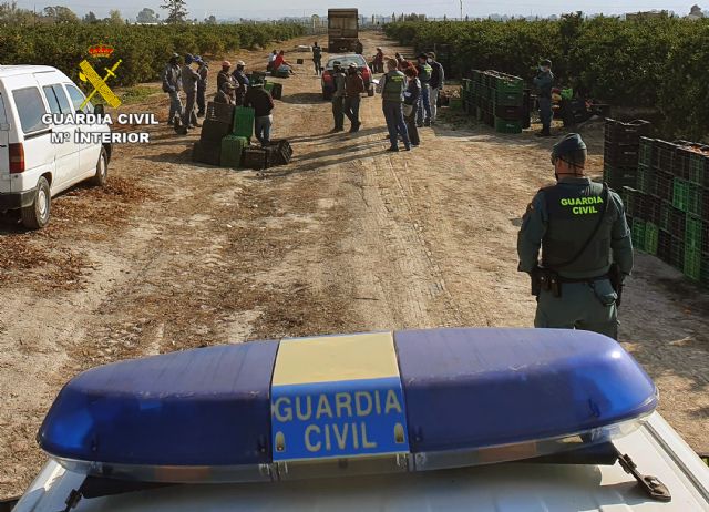 La Guardia Civil inspecciona varias explotaciones agrícolas en Bullas - 1, Foto 1