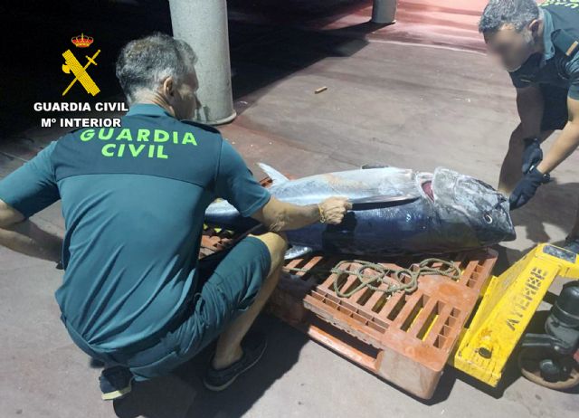 La Guardia Civil detecta a dos pescadores furtivos con un atún rojo en El Gorguel - 5, Foto 5